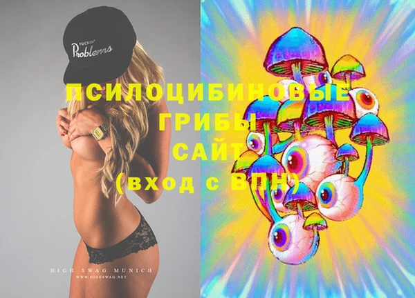 крисы Богданович